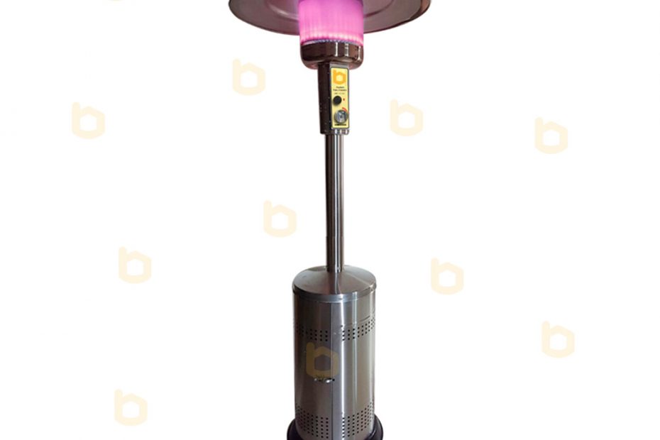 بخاری قارچی